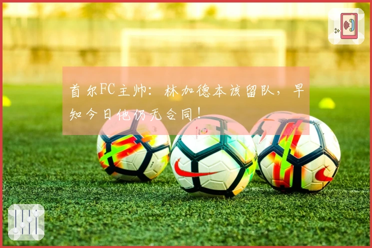 首尔FC主帅：林加德本该留队，早知今日他仍无合同！