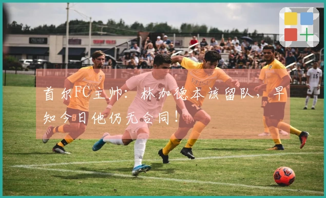 首尔FC主帅：林加德本该留队，早知今日他仍无合同！