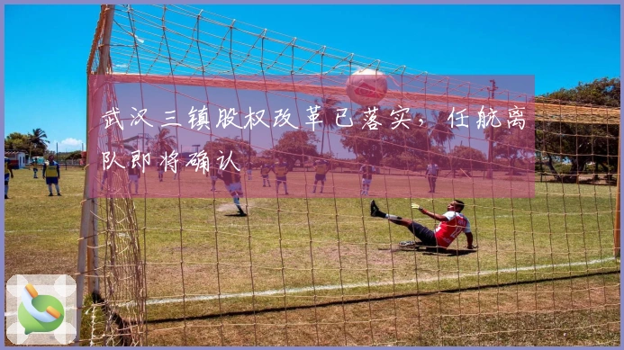 武汉三镇股权改革已落实，任航离队即将确认